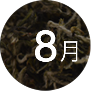 8Ʒ