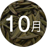 10����Ʒ