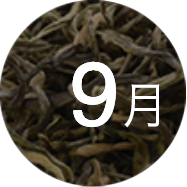 9����Ʒ